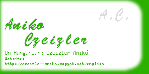 aniko czeizler business card